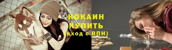 мяу мяу мука Медвежьегорск