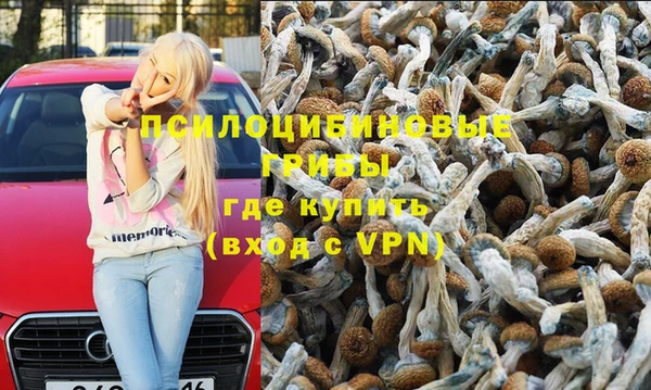 мяу мяу мука Медвежьегорск