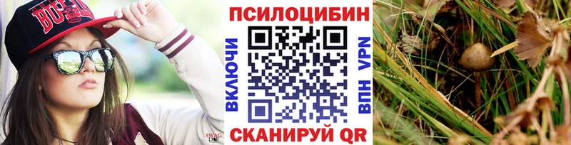 Галлюциногенные грибы мухоморы  Купить  Северск 